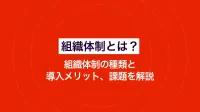 組織体制とは？組織体制の種類と導入メリット、課題を解説